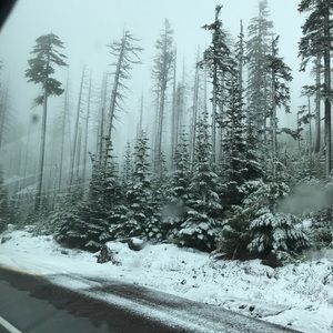 Meet your Posher, Randy